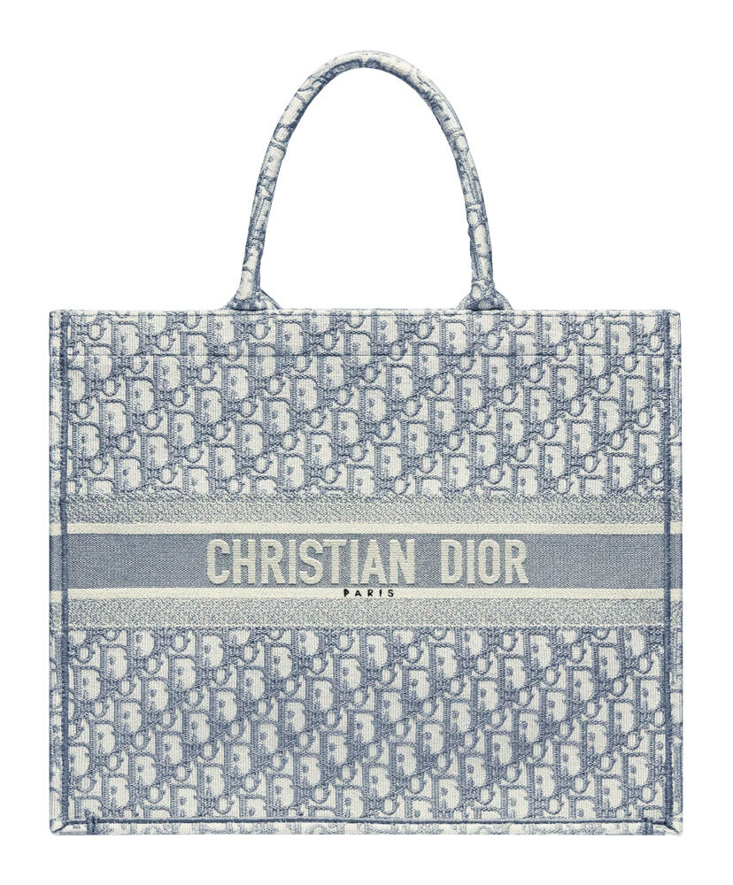 Christian Dior Book Tote With Dior Oblique Embroidery Gray